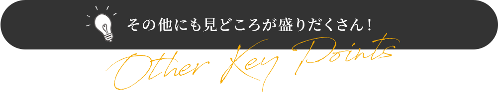 その他にも見どころが盛りだくさん!