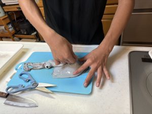 初めてのイカ捌き