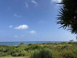 猛暑始まり、夏のエアコントラブルに注意