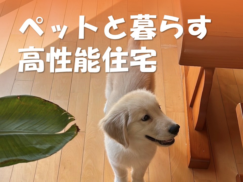 岡山でペットと暮らす高性能住宅【岡山・倉敷注文住宅コラムVol.211】